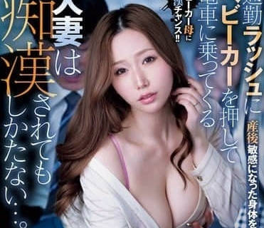 MEYD-964 早高峰电车人妻绝望实录！痴汉围攻婴儿车成最后防线